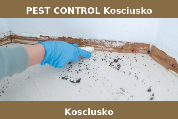 PEST CONTROL Kosciusko
